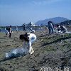 海岸の清掃