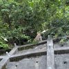 完成検査　神奈川愛川町の家とダム