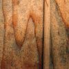 時間（トキ）での変化と想像性。