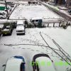初雪ではいつもの事